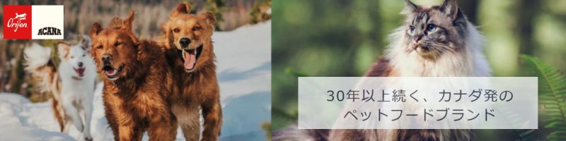 �J�i�_�Y�y�b�g�t�[�h�u�A�J�i�E�I���W���v���T�C�g